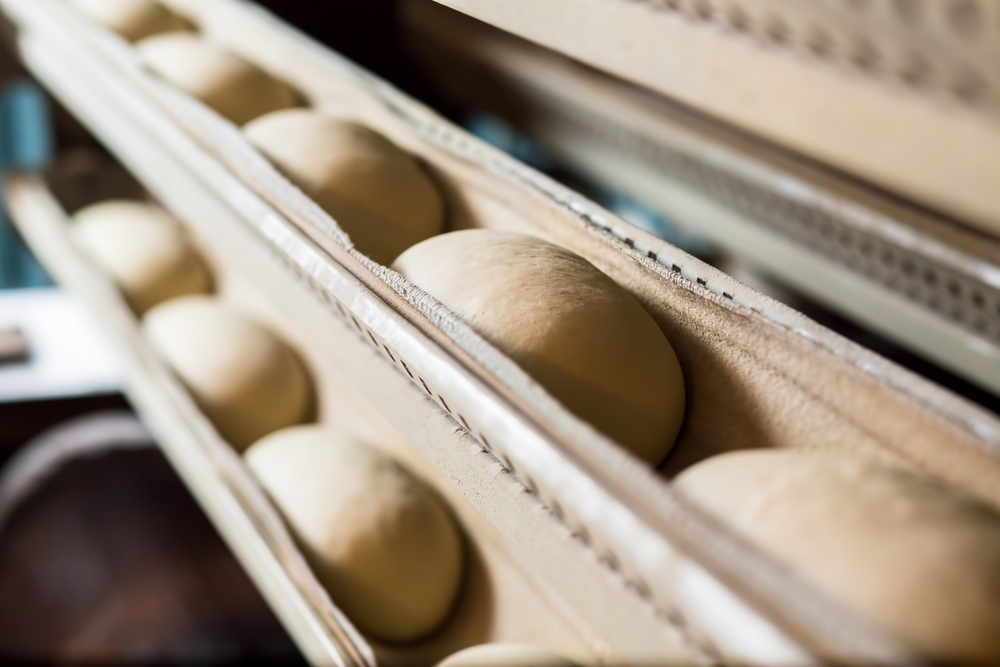 dough balls proofing