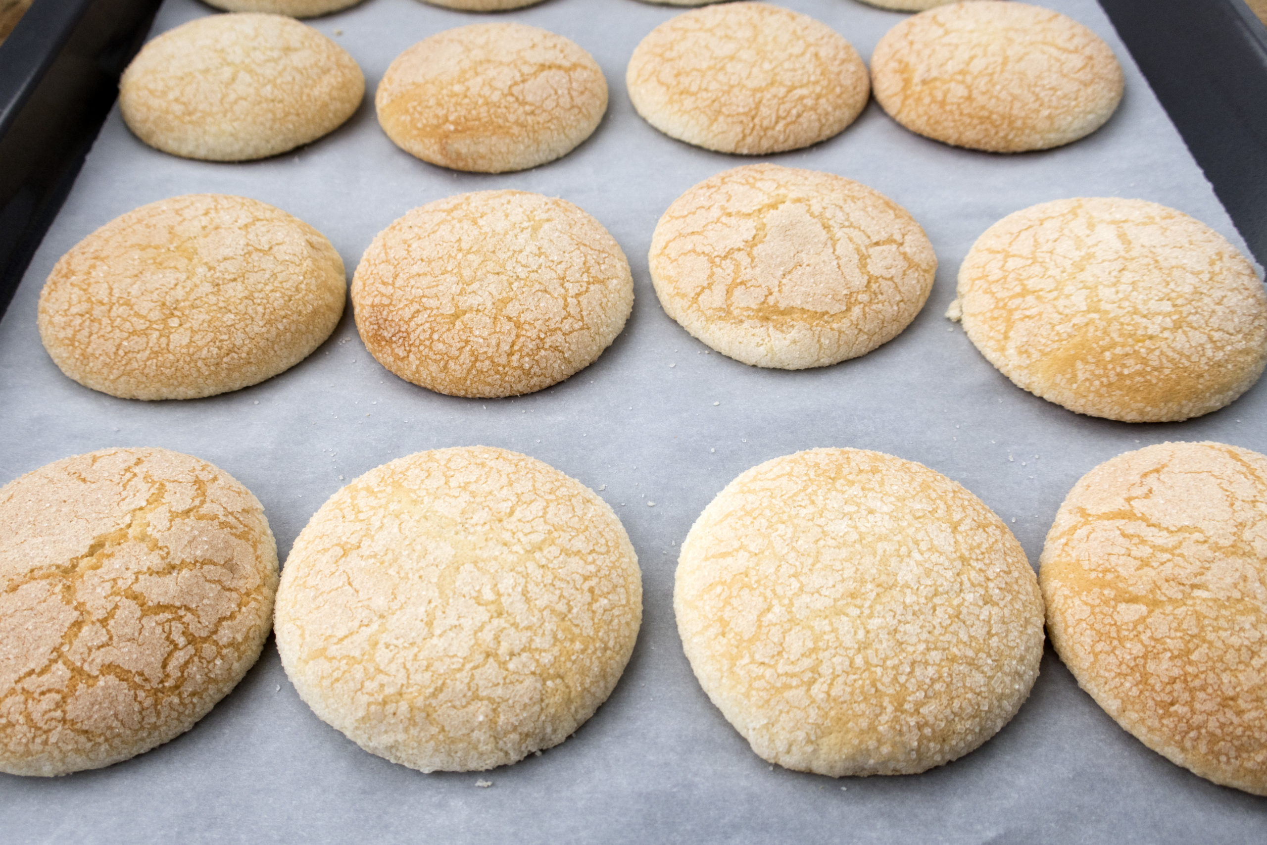 a batch of sugar cookies on bakery tissue