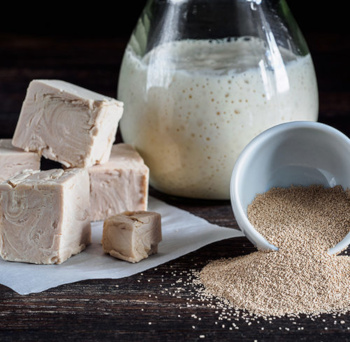 Yeast in various formats - dried, fresh